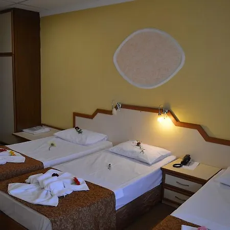 Ayvalik Palas Hotel Hotel Ayvalı