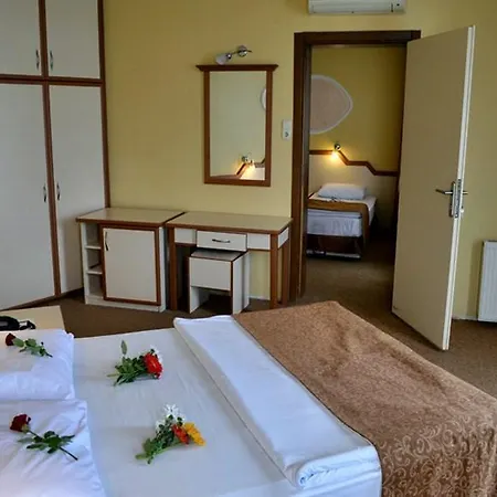 Ayvalik Palas Hotel Hotel 2*